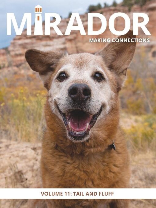 Title details for Mirador Magazine by Mirador: Making Connections, LLC. - Available